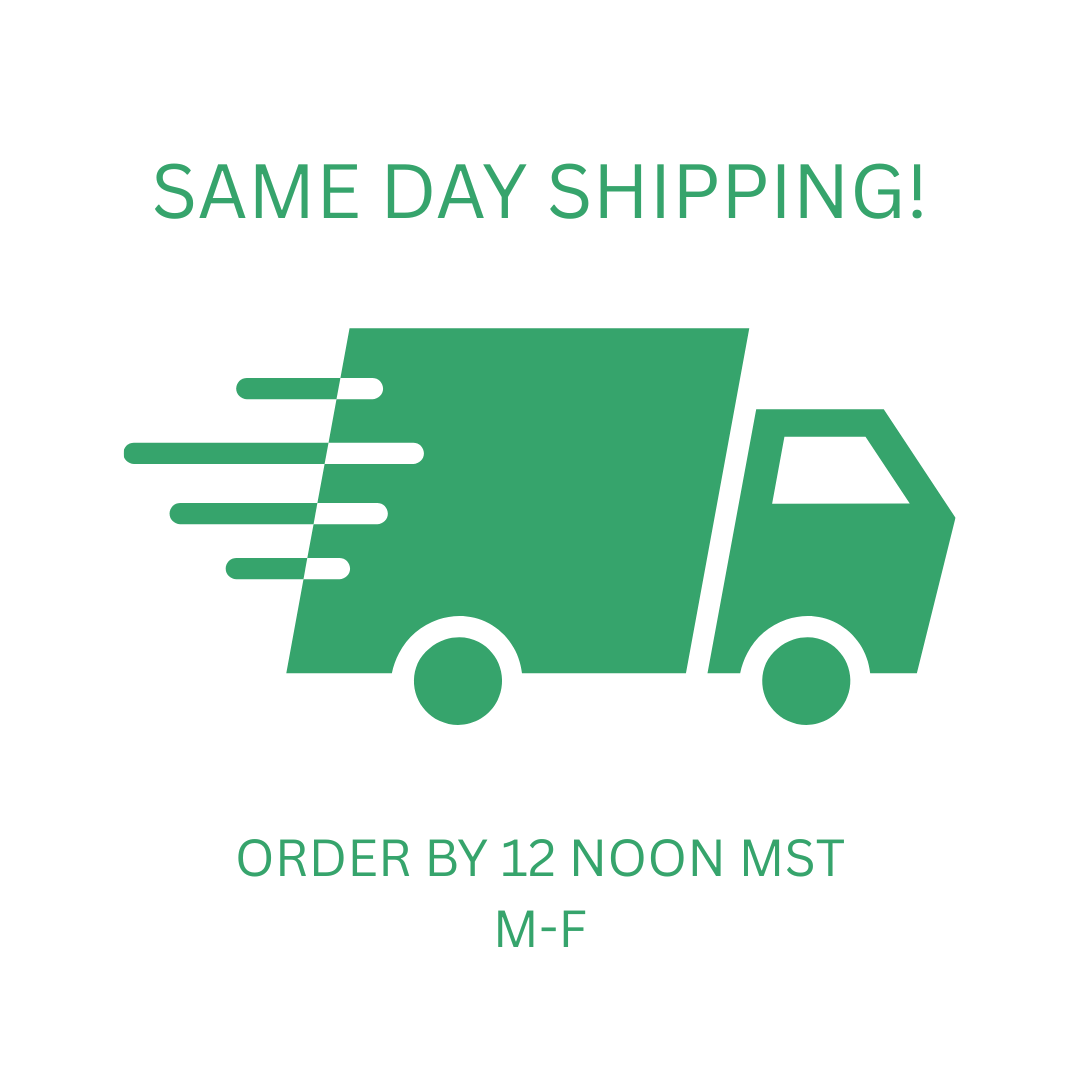 12 DAY ELF ACTIVITY KIT